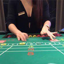 Casino Game Guide overview on 229bet for Bangladesh adult users